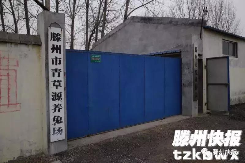 滕州有个“兔行家”，立志打造中国制造品牌