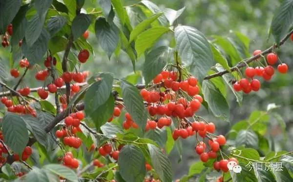 五一房县自驾游,房县旅游攻略最佳路线