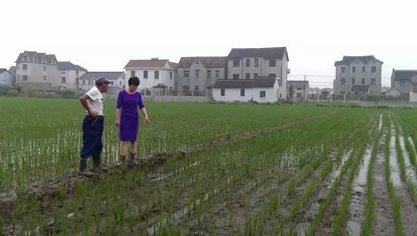 生活在苏州的真实感受,在苏州的生活体验