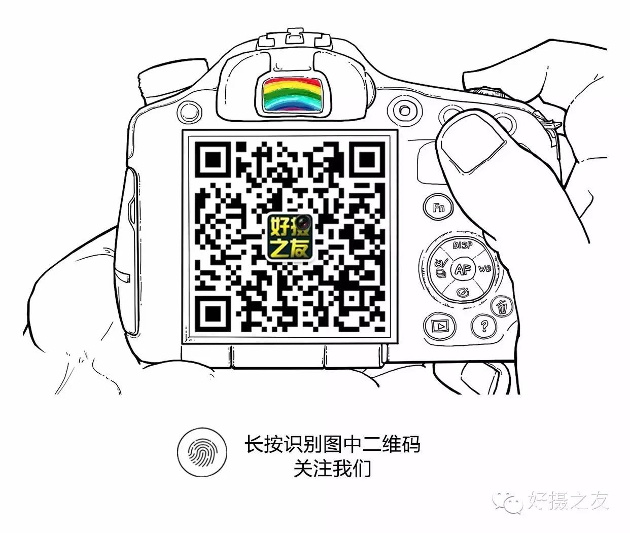 各路大鸟说：秀恩爱，那必须去春天的西湖啊！（拍鸟地图附上）