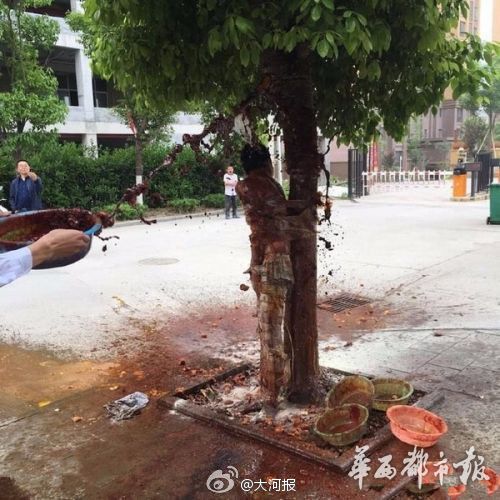 新闻龙门阵｜遭泼狗血！这个新郎太惨了，我宁愿单身到老