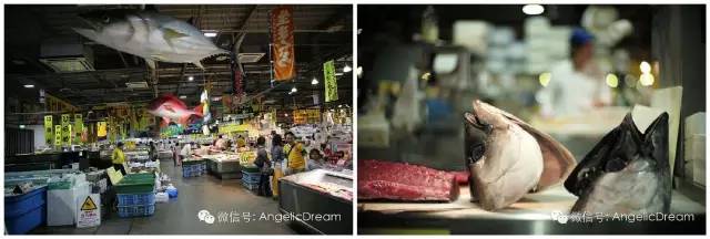 一个中国妈妈带着孩子去了美国,带孩子去日本攻略