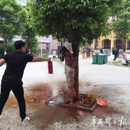 新闻龙门阵｜遭泼狗血！这个新郎太惨了，我宁愿单身到老