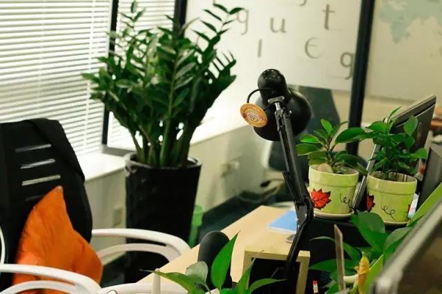 2016应届生最值得加入的“酷”公司（珠三角区）