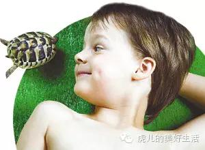 家里有孩子的合适养什么短毛宠物,学生党合适养1-5块钱的宠物