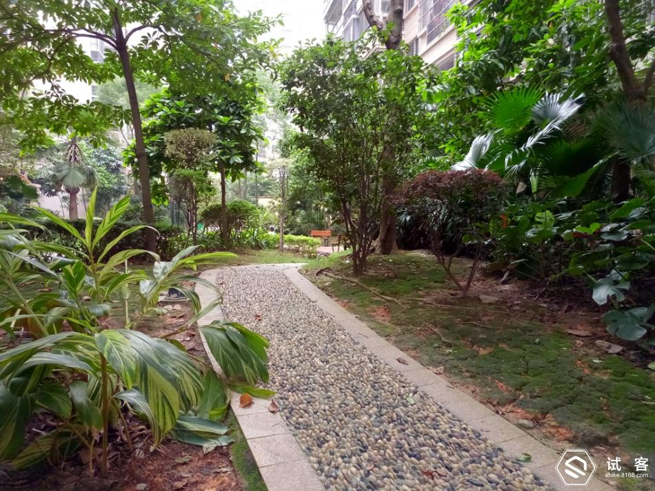 金立天鉴w909系统还能够再升级吗,金立天鉴w909手机充不了电怎么办