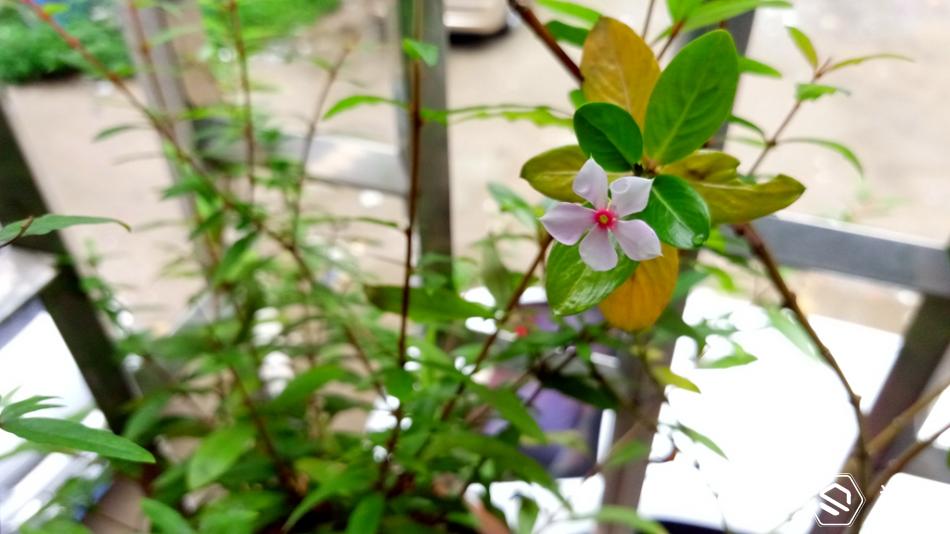 金立天鉴w909系统还能够再升级吗,金立天鉴w909手机充不了电怎么办