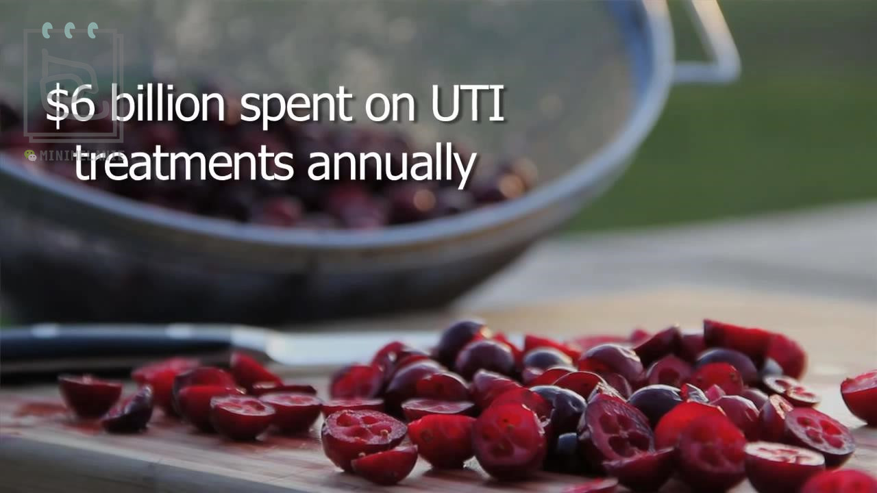 北美红宝石蔓越莓,北美红宝石蔓越莓干