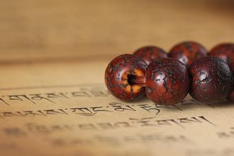 星月能够入手吗,星月有必要作假吗