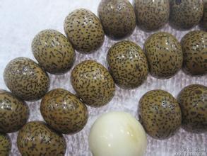 星月能够入手吗,星月有必要作假吗