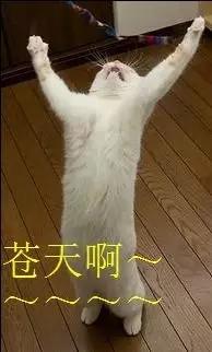 行家谈为什么房价不能暴跌,为什么说房价跌股价涨