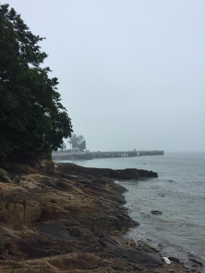 鼓浪屿自驾游全攻略,厦门鼓浪屿登岛全攻略