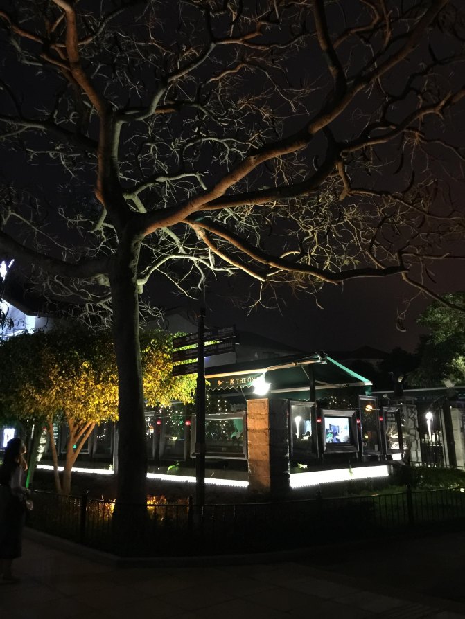 鼓浪屿自驾游全攻略,厦门鼓浪屿登岛全攻略