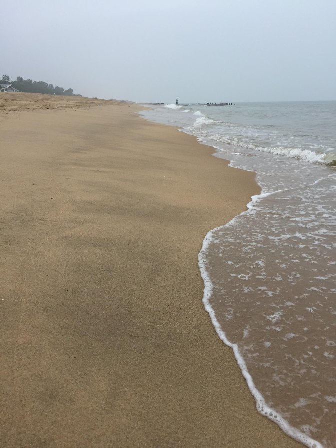 鼓浪屿自驾游全攻略,厦门鼓浪屿登岛全攻略