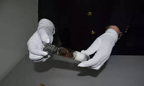 慎点！有人居然往成都寄这种虫，体积是国内的3倍