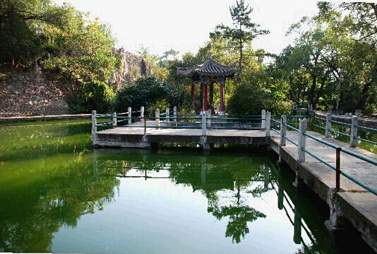 张家口宜居公园排名前十,张家口热门楼盘