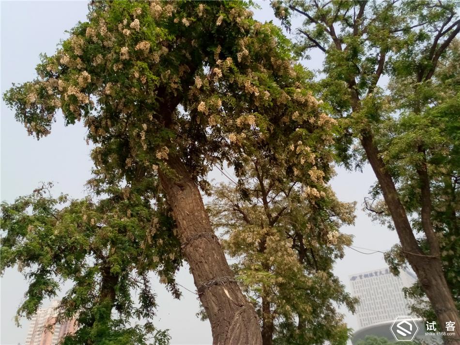 金立天鉴w909手机找不到媒体模式,金立天鉴w900翻盖手机价格