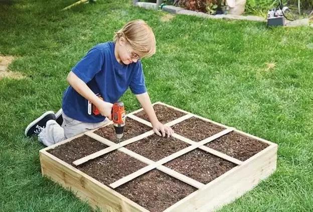 北美大叔玩起真实版开心农场，1平米菜园竟成国际潮流