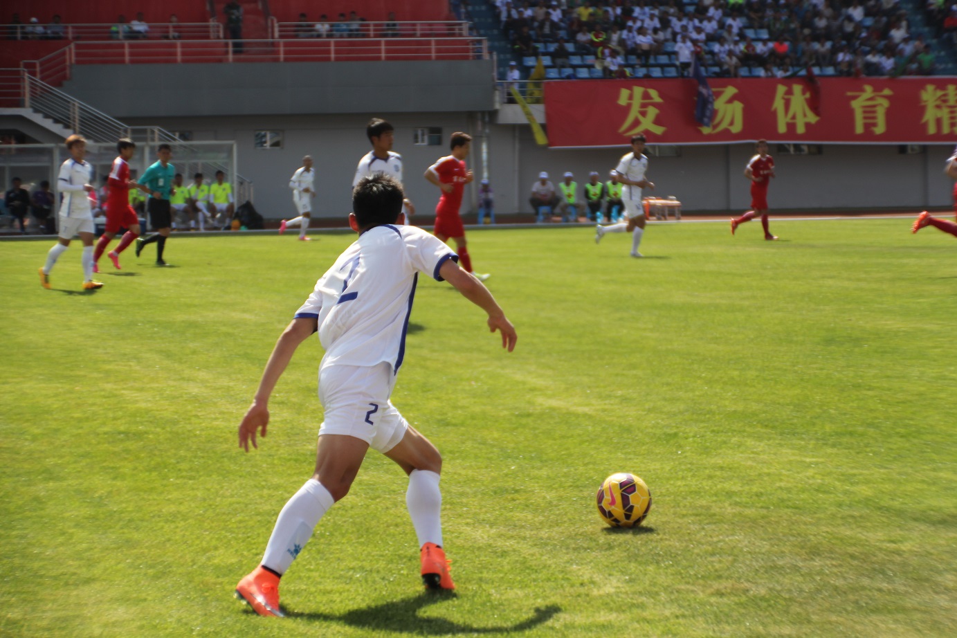 丽江飞虎队最新比分,丽江飞虎队的比赛