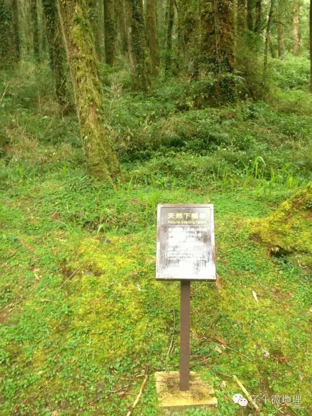 日本*国靖**神社用什么材料做的，你知道吗？