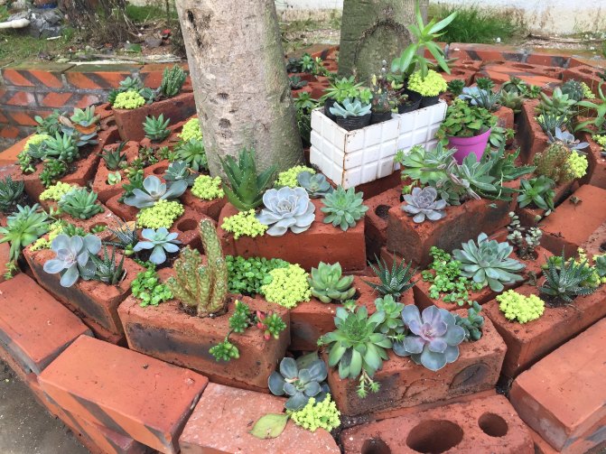 鼓浪屿自驾游全攻略,厦门鼓浪屿登岛全攻略