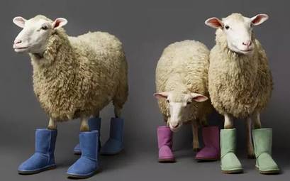 在北京什么地方能够买到澳洲ugg鞋 (ausheep ugg是澳洲品牌吗)