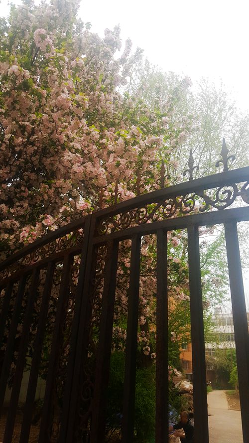 看乐亭小县城里的小市民，怎样装点生活