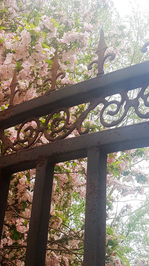 看乐亭小县城里的小市民，怎样装点生活