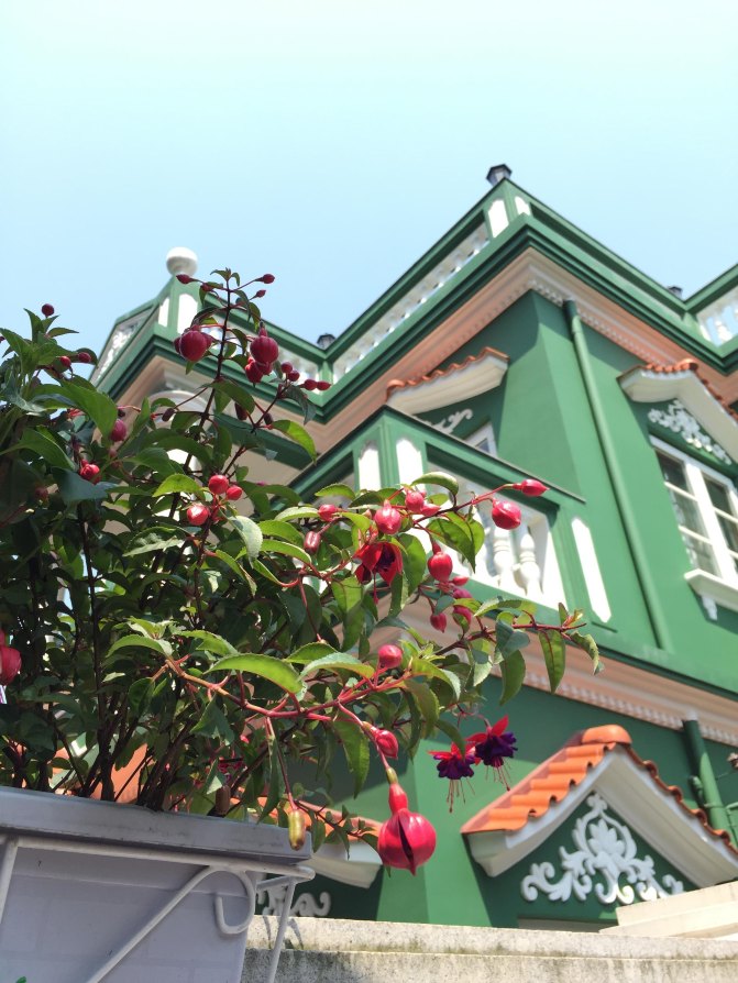 鼓浪屿自驾游全攻略,厦门鼓浪屿登岛全攻略