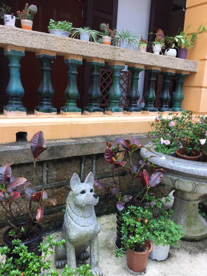 鼓浪屿自驾游全攻略,厦门鼓浪屿登岛全攻略