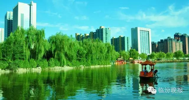 头条|我叫临汾，这是我的最新简历，请多关照！