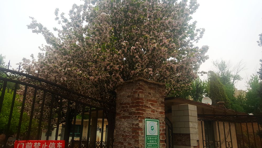 看乐亭小县城里的小市民，怎样装点生活