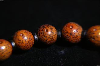 星月菩提子科普,星月菩提子的种类及区别