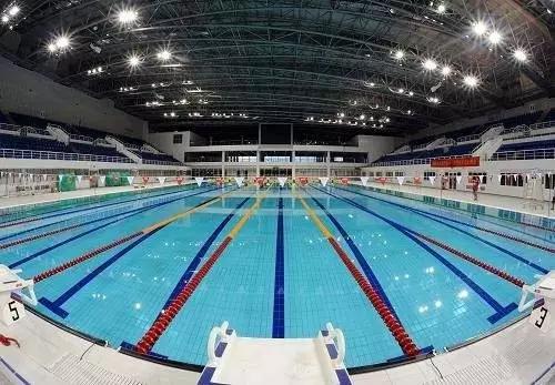 广州市桥星海公园游泳馆,广州东湖游泳馆开放时间