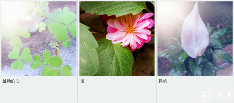 金立天鉴w909系统还能够再升级吗,金立天鉴w909手机充不了电怎么办