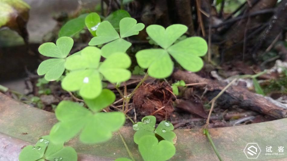 金立天鉴w909系统还能够再升级吗,金立天鉴w909手机充不了电怎么办