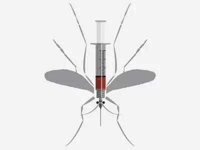 驱蚊的方法及食物,吃什么能有效防蚊