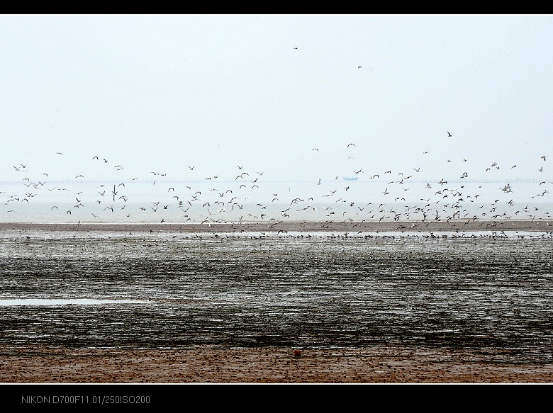 点评一下乐亭的旅游景点，希望对大家有用