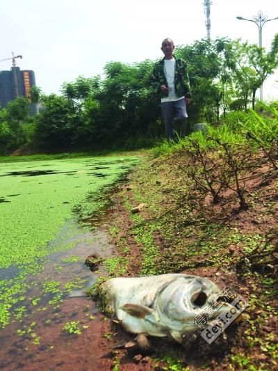 武汉网约车不办etc能够走高速吗,武汉etc要取消是真是假