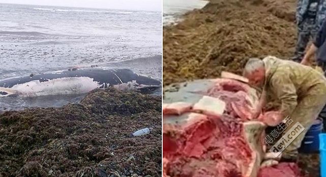 武汉网约车不办etc能够走高速吗,武汉etc要取消是真是假