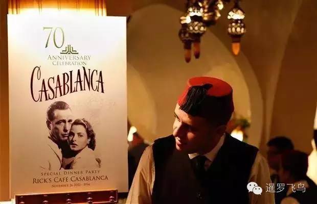 LP年度最佳三毛最爱北非后花园摩洛哥免签啦！