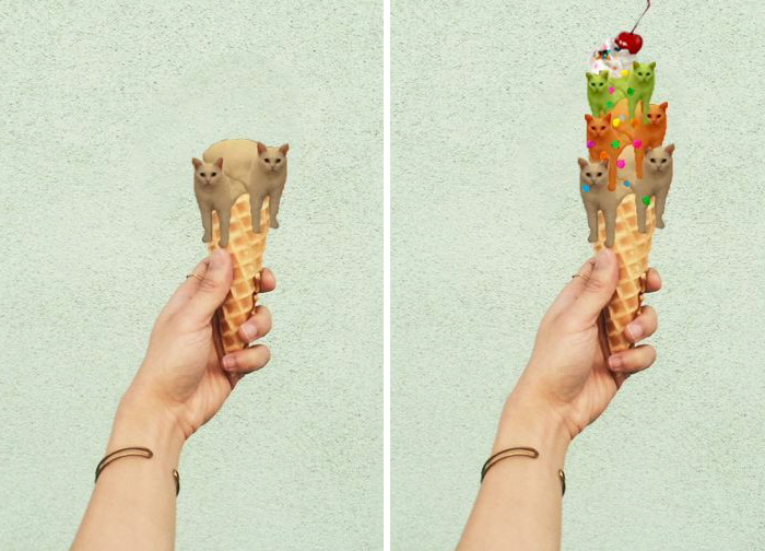 喵星人下楼梯魔性瞬间,被恶搞的喵星人