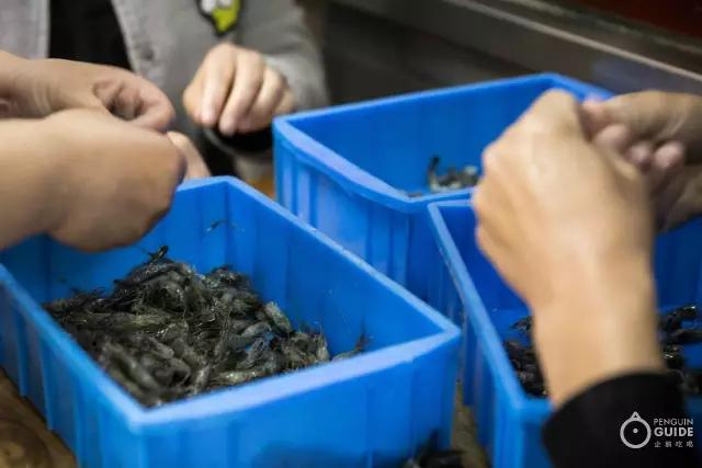 苏面大典：好面三千，今天要翻谁的牌？