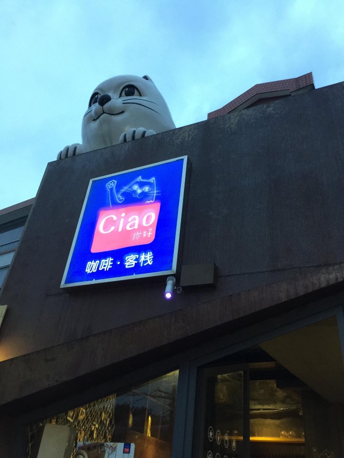 鼓浪屿自驾游全攻略,厦门鼓浪屿登岛全攻略