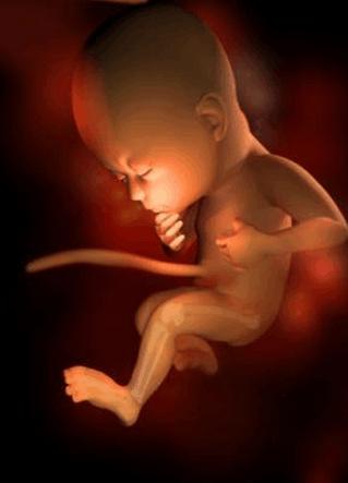 怀孕29周应该注意事项,怀孕29周胎儿多大算是正常