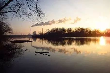 数学由哪两大分支构成,数学中最难的分支排名