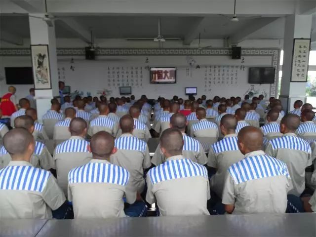 那些令人感动的教育方式,盘点令人惊艳的教育方式