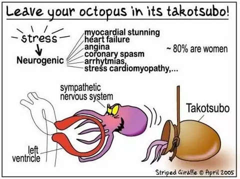 失恋过度心碎综合征,心碎综合症过度伤心真的会死吗