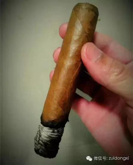 不曾驯服的野性，随风而逝