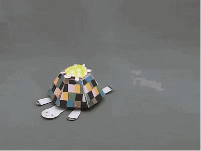 火爆小青蛙,小青蛙玩什么